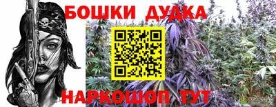 СК Рязань
