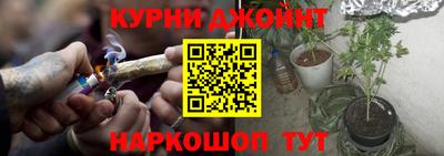 гидра Рыбинск